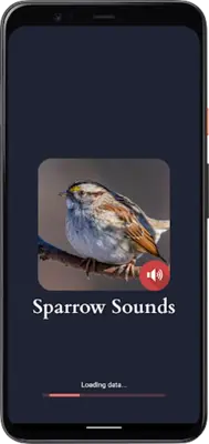 Sparrow Sounds android App screenshot 3